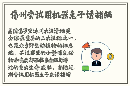 成熟交BGMBGMBGM图片
